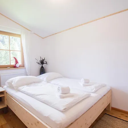 Tauerndorf Enzingerboden In&out - Steinbock Chalet
